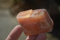 Natural New Sunset Orange Calcite Specimens  x 24 From Spitzkop, Namibia - Toprock Gemstones and Minerals 
