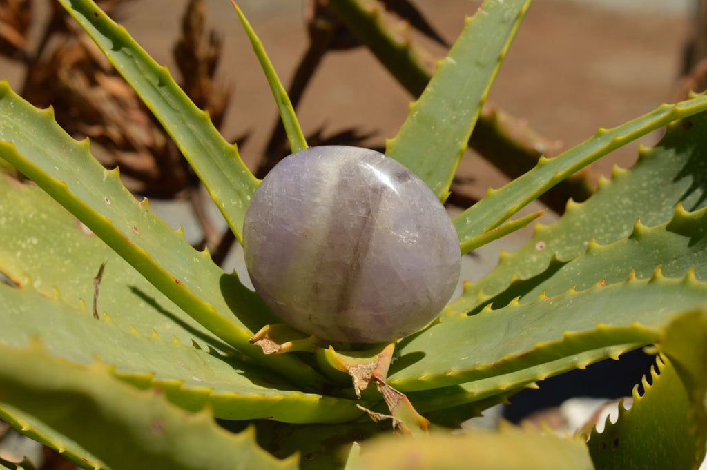 Polished Dream Amethyst Palm Stones  x 20 From Madagascar - TopRock