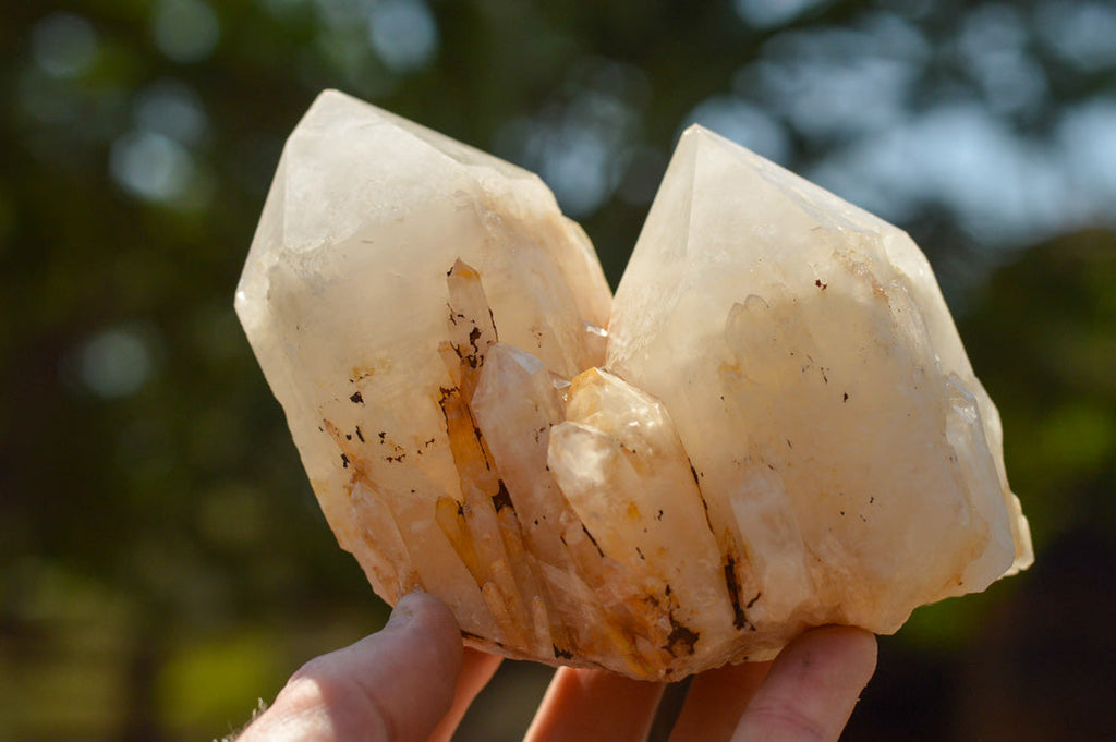 Natural Multi Terminated White Quartz Clusters  x 6 From Madagascar - TopRock