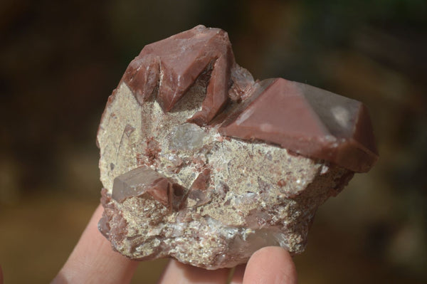 Natural Red Hematoid Quartz Specimens x 6 From Karoi, Zimbabwe - Toprock Gemstones and Minerals 