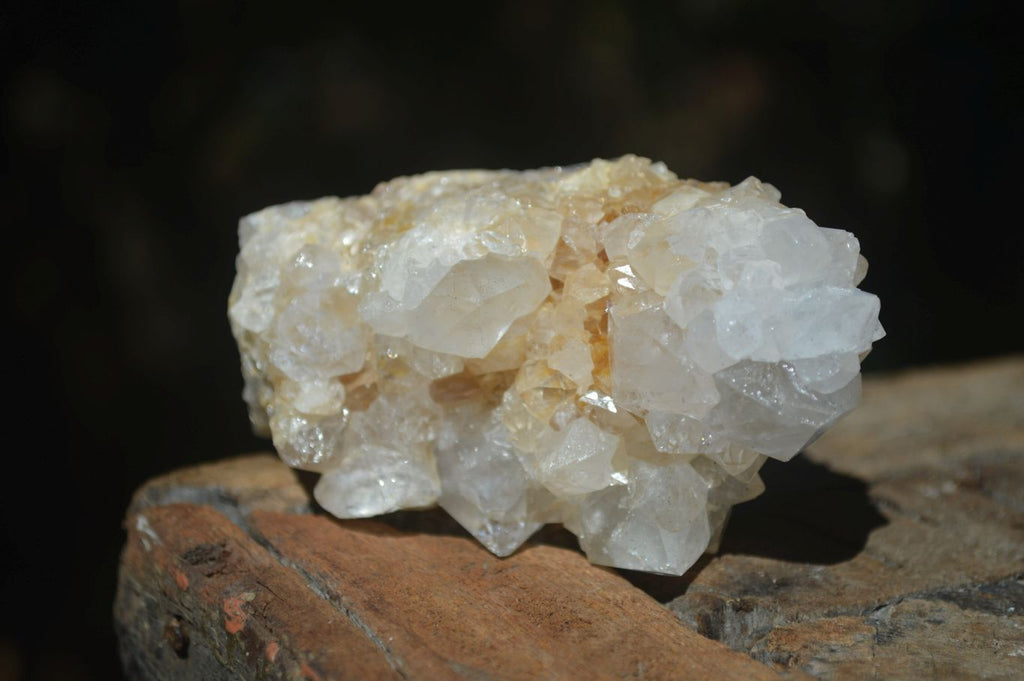 Natural Mixed Spirit Quartz Clusters  x 6 From Boekenhouthoek, South Africa - Toprock Gemstones and Minerals 