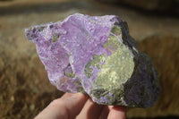 Natural Rough Stichtite & Serpentine Specimens x 6 From Barberton, South Africa - Toprock Gemstones and Minerals 