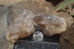 Natural Hematoid Quartz Crystals x 12 From Karoi, Zimbabwe - Toprock Gemstones and Minerals 