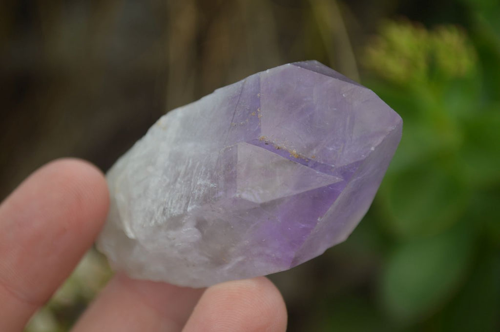 Natural Single Jacaranda Amethyst Crystals  x 12 From Zambia - Toprock Gemstones and Minerals 