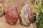 Polished New Red Jasper Standing Free Forms  x 2 From Madagascar - TopRock