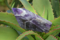 Polished Deep Purple Chevron Amethyst Points x 6 From Zambia - Toprock Gemstones and Minerals 