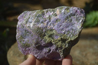 Natural Rough Stichtite & Serpentine Specimens x 6 From Barberton, South Africa - Toprock Gemstones and Minerals 