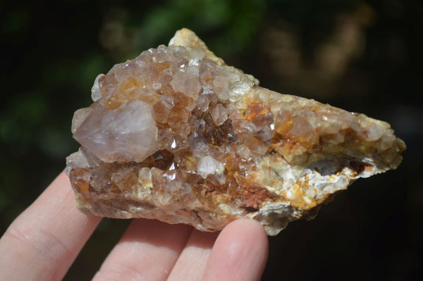 Natural Mixed Spirit Quartz Clusters  x 6 From Boekenhouthoek, South Africa - Toprock Gemstones and Minerals 