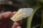 Natural Pineapple Candle Quartz Crystals  x 35 From Madagascar - Toprock Gemstones and Minerals 