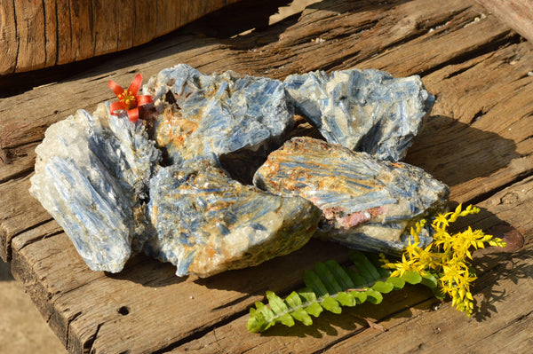 Natural Blue Kyanite In Schist Specimens with Garnet x 5 From Karoi, Zimbabwe - TopRock