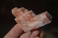 Natural New Sunset Orange Calcite Specimens  x 24 From Spitzkop, Namibia - Toprock Gemstones and Minerals 