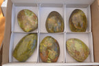 Polished  Green Opal Standing Free Forms  x 6 From Madagascar - Toprock Gemstones and Minerals 