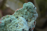Natural Drusy Coated Chrysocolla & Malachite Dolomite Specimens x 3 From Congo - Toprock Gemstones and Minerals 