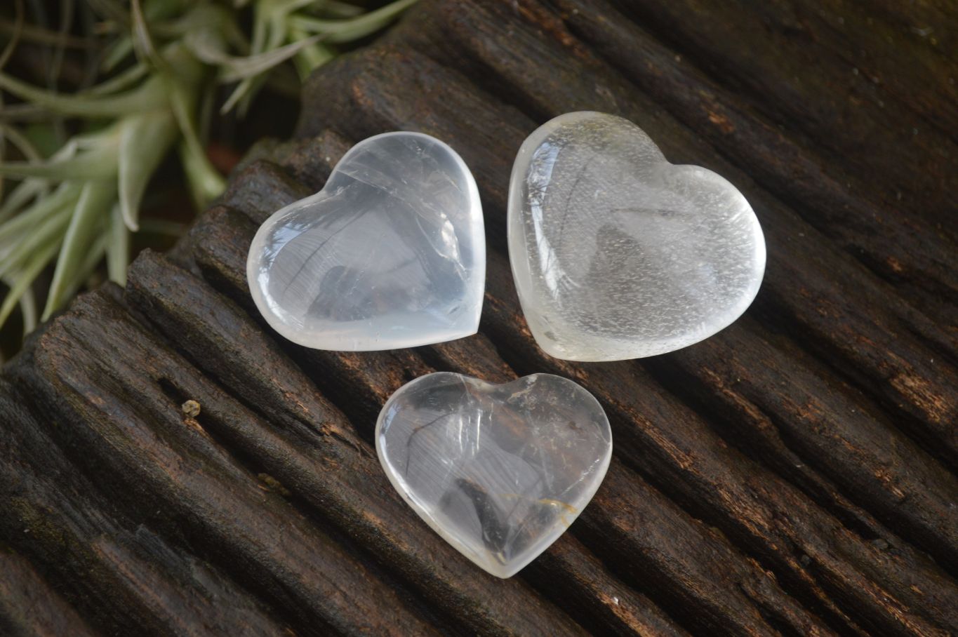 Polished Mini Girasol Pearl Quartz Hearts x 20 From Ambatondrazaka, Madagascar - Toprock Gemstones and Minerals 