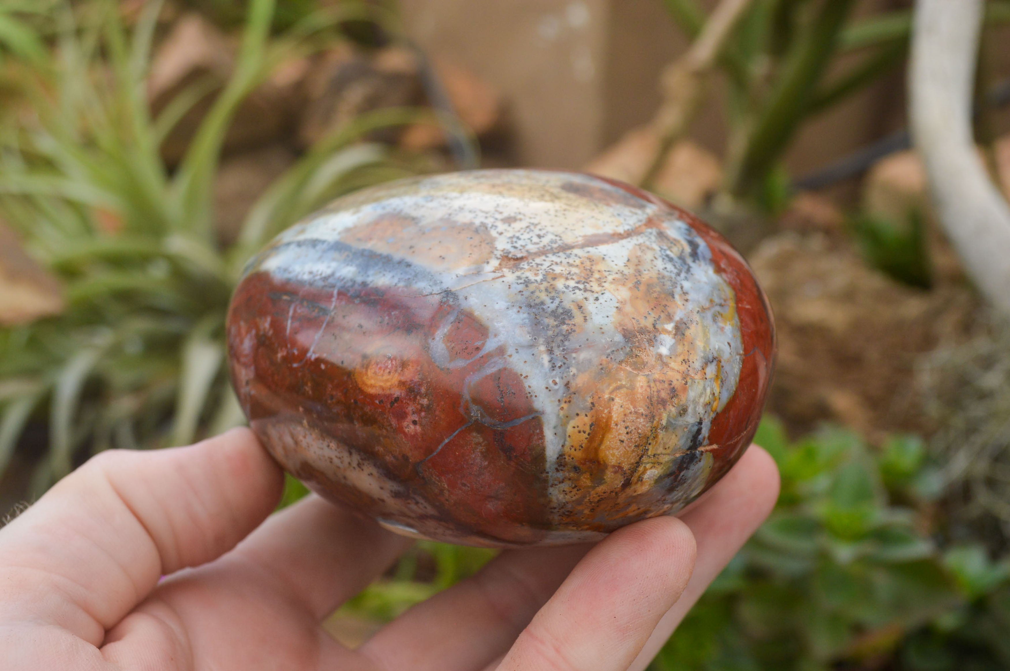 Polished New Red Jasper Standing Free Forms  x 2 From Madagascar - TopRock