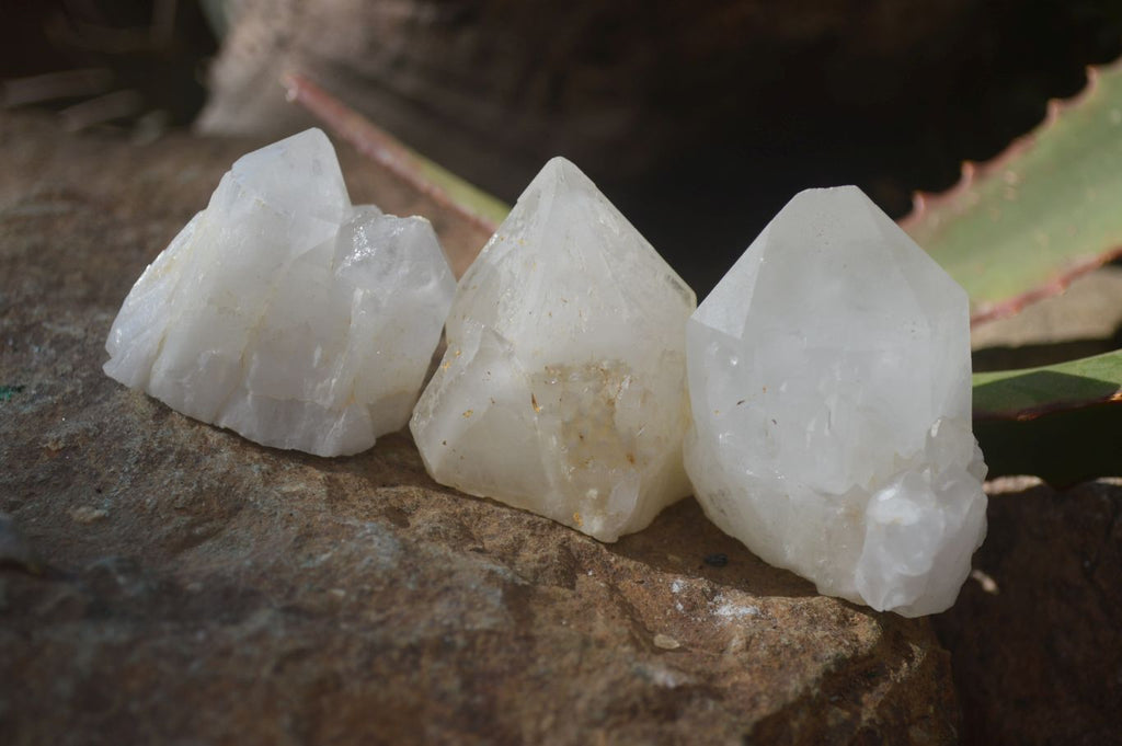 Natural Pineapple Candle Quartz Crystals  x 35 From Madagascar - Toprock Gemstones and Minerals 