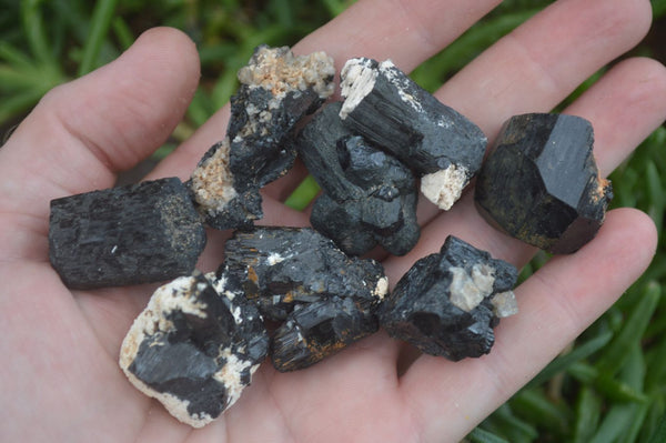 Natural Schorl Black Tourmaline Crystals  x 35 From Erongo, Namibia - Toprock Gemstones and Minerals 