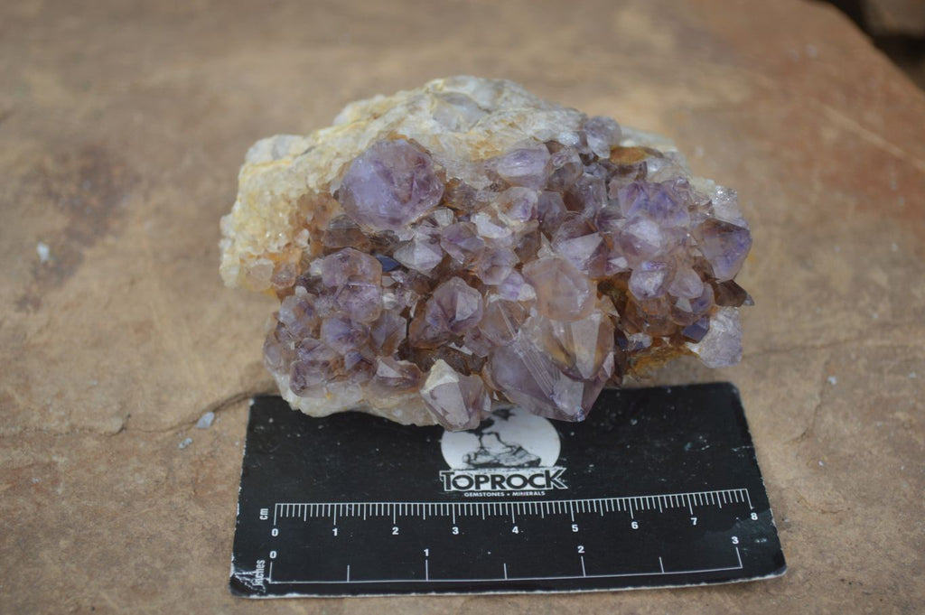Natural Mixed Spirit Quartz Clusters  x 6 From Boekenhouthoek, South Africa - Toprock Gemstones and Minerals 