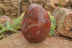 Polished New Red Jasper Standing Free Forms  x 2 From Madagascar - TopRock