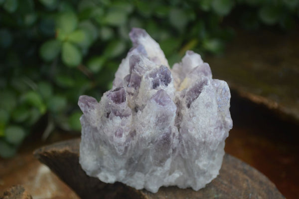 Natural Sugar Amethyst Clusters  x 4 From Solwezi, Zambia