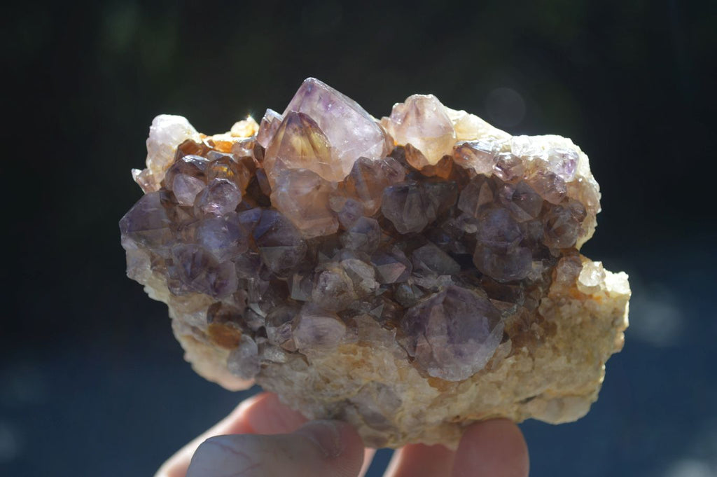 Natural Mixed Spirit Quartz Clusters  x 6 From Boekenhouthoek, South Africa - Toprock Gemstones and Minerals 