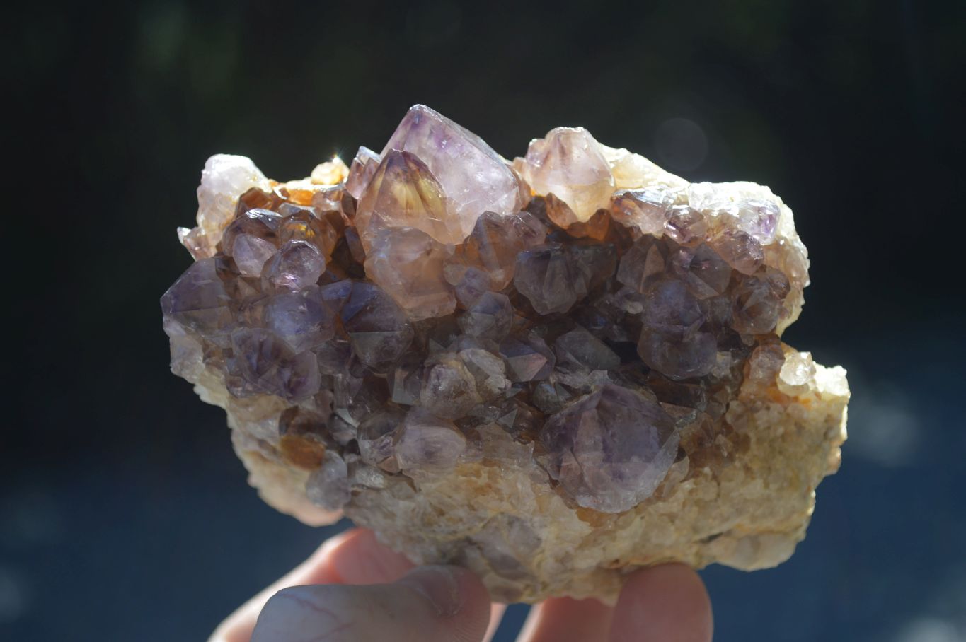 Natural Mixed Spirit Quartz Clusters  x 6 From Boekenhouthoek, South Africa - Toprock Gemstones and Minerals 