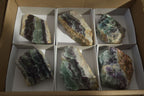 Polished Watermelon Fluorite Slices  x 6 From Uis, Namibia - Toprock Gemstones and Minerals 