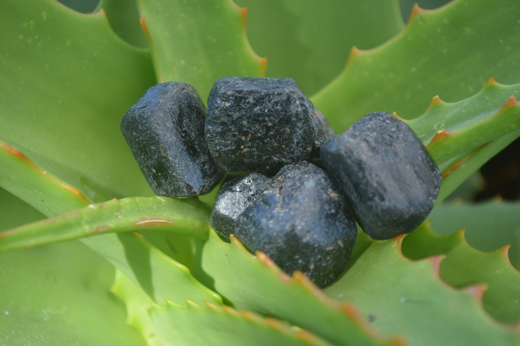 Natural Alluvial Schorl / Black Tourmaline Crystals  - Sold per 1 Kg (200 to 280 pieces) - From Zimbabwe - Toprock Gemstones and Minerals 