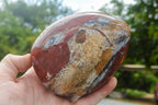 Polished New Red Jasper Standing Free Forms  x 2 From Madagascar - TopRock