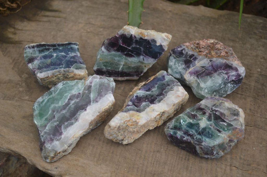 Polished Watermelon Fluorite Slices  x 6 From Uis, Namibia - Toprock Gemstones and Minerals 