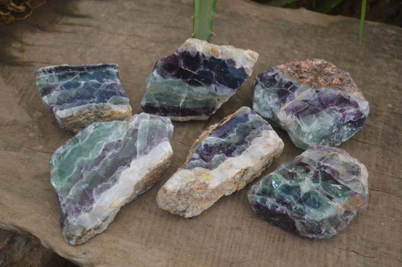 Polished Watermelon Fluorite Slices  x 6 From Uis, Namibia - Toprock Gemstones and Minerals 