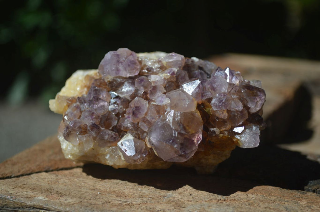 Natural Mixed Spirit Quartz Clusters  x 6 From Boekenhouthoek, South Africa - Toprock Gemstones and Minerals 