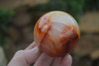 Polished Vibrant Carnelian Agate Spheres  x 5 From Madagascar - Toprock Gemstones and Minerals 