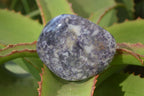 Polished Purple Lepidolite Free Forms  x 6 From Zimbabwe - Toprock Gemstones and Minerals 