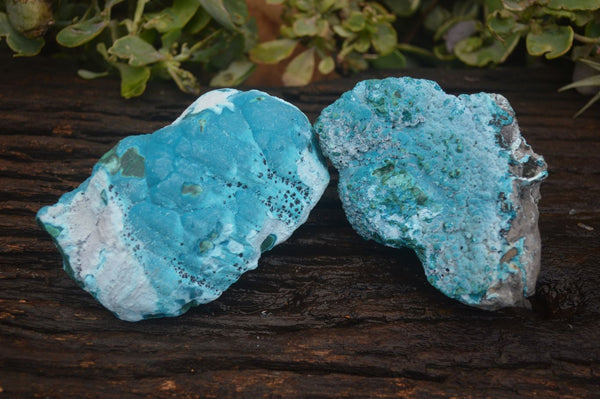 Natural Blue Malacholla (Malachite & Chrysocolla) Specimens  x 2 From Kulukuluku, Congo - Toprock Gemstones and Minerals 