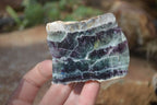 Polished Watermelon Fluorite Slices  x 6 From Uis, Namibia - Toprock Gemstones and Minerals 