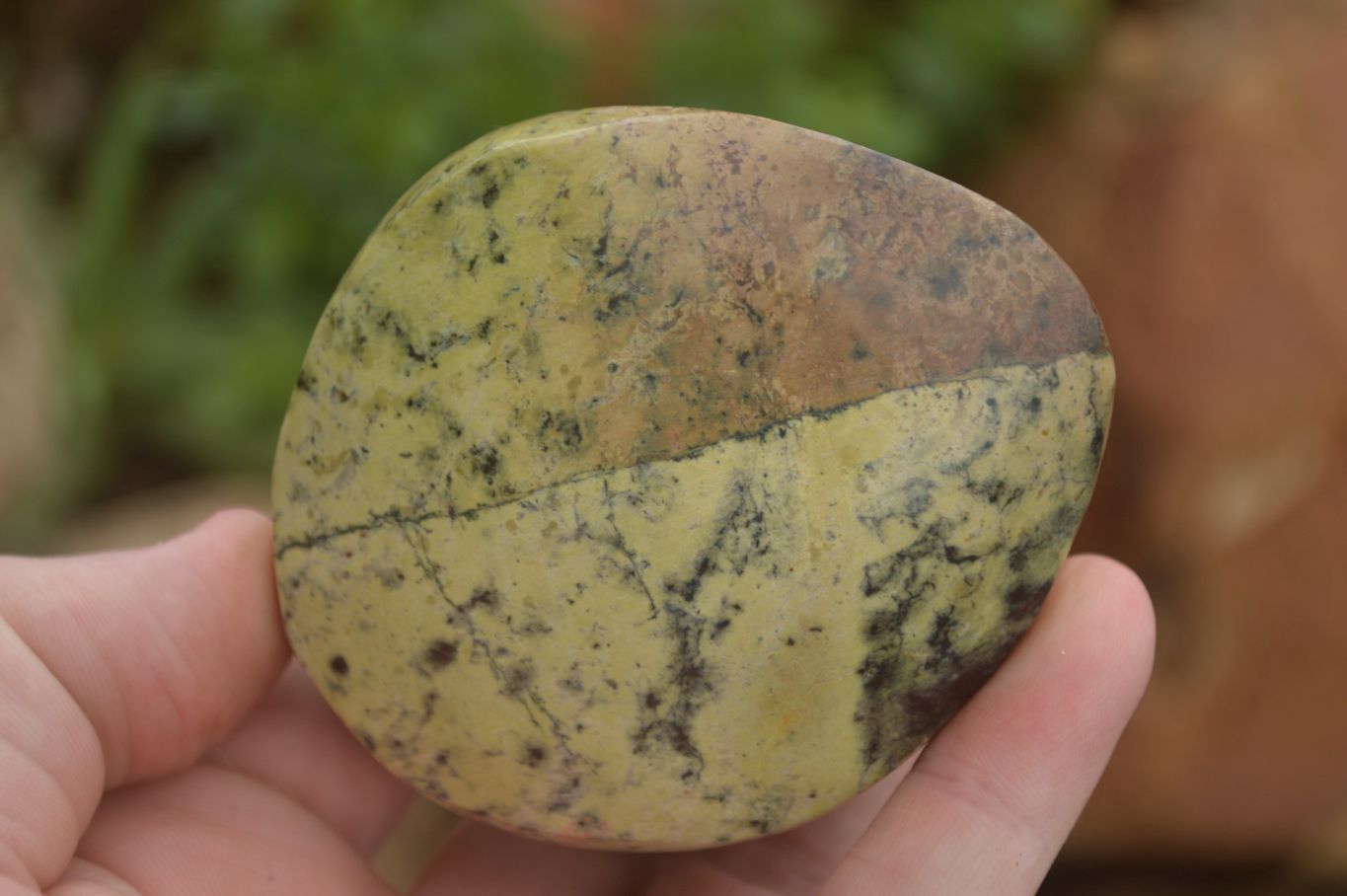 Polished Large Leopard stone Free Forms  x 6 From Zimbabwe - TopRock