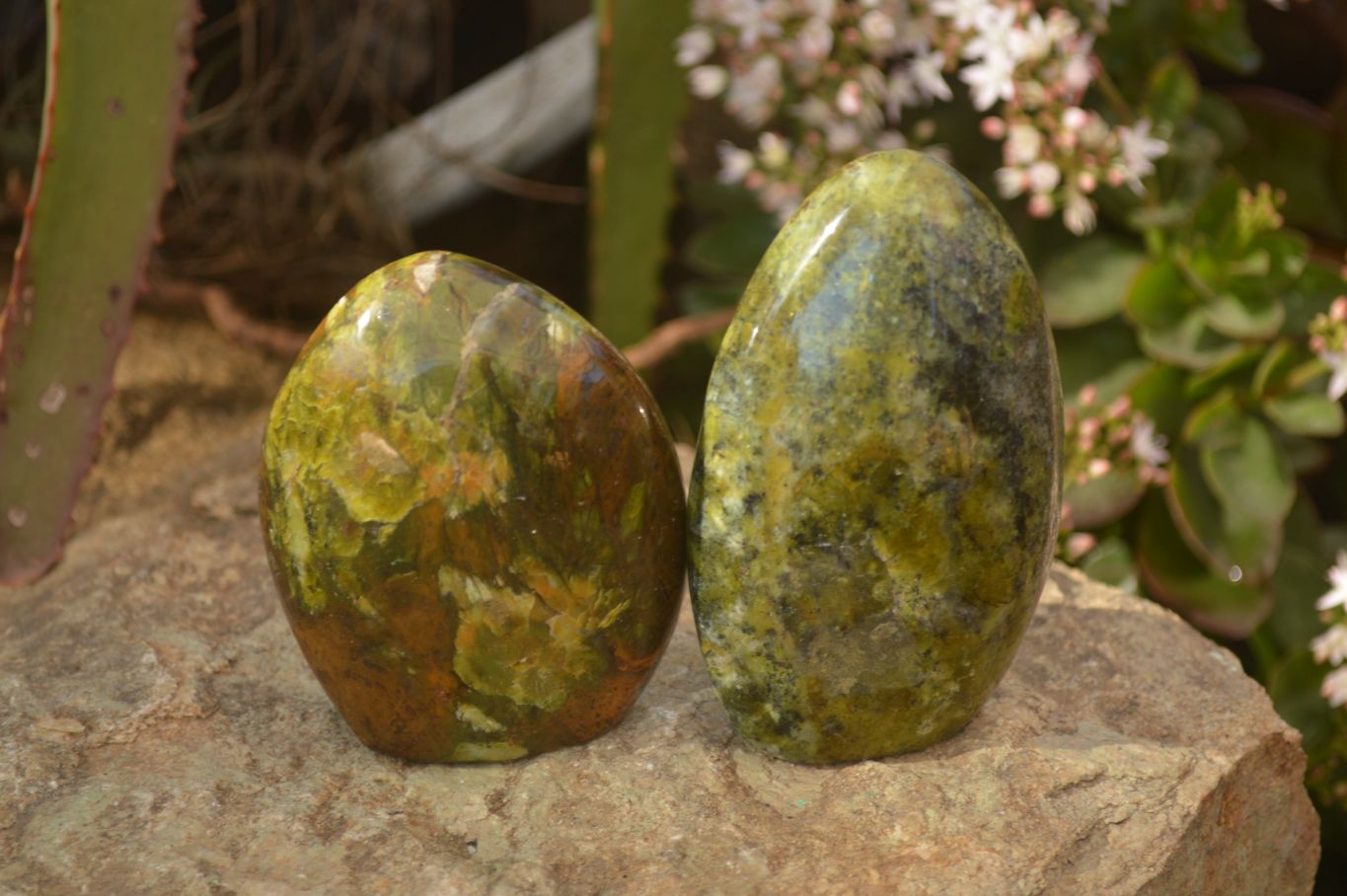 Polished  Green Opal Standing Free Forms  x 6 From Madagascar - Toprock Gemstones and Minerals 