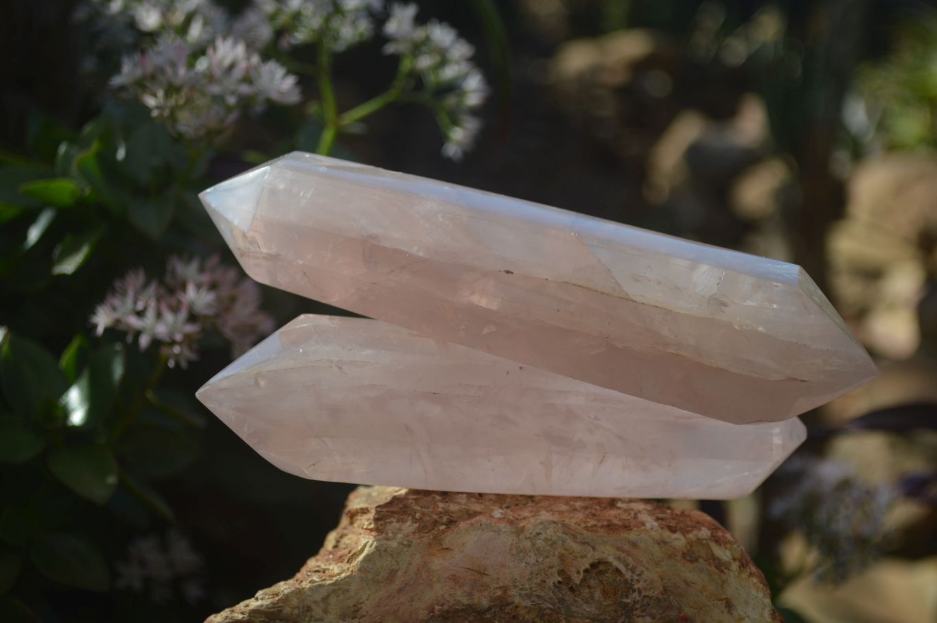 Polished Gemmy Double Terminated Rose Quartz Points x 4 From Madagascar - Toprock Gemstones and Minerals 