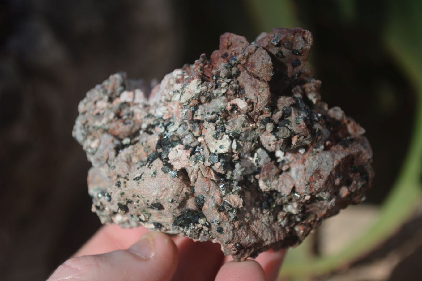 Natural Rare Libethenite Crystals On Dolomite Matrix Specimens x 6 From Likasi, Congo - Toprock Gemstones and Minerals 