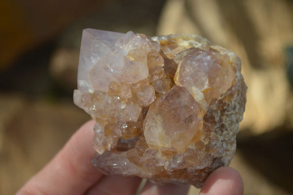 Natural Spirit Amethyst Quartz Clusters  x 12 From Boekenhouthoek, South Africa - Toprock Gemstones and Minerals 