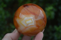 Polished Vibrant Carnelian Agate Spheres  x 5 From Madagascar - Toprock Gemstones and Minerals 