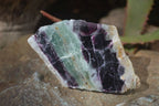 Polished Watermelon Fluorite Slices  x 6 From Uis, Namibia - Toprock Gemstones and Minerals 