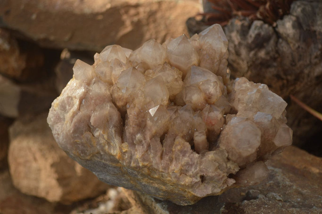 Natural Large Cascading White Phantom Smokey Quartz Cluster x 1 From Luena, Congo - Toprock Gemstones and Minerals 