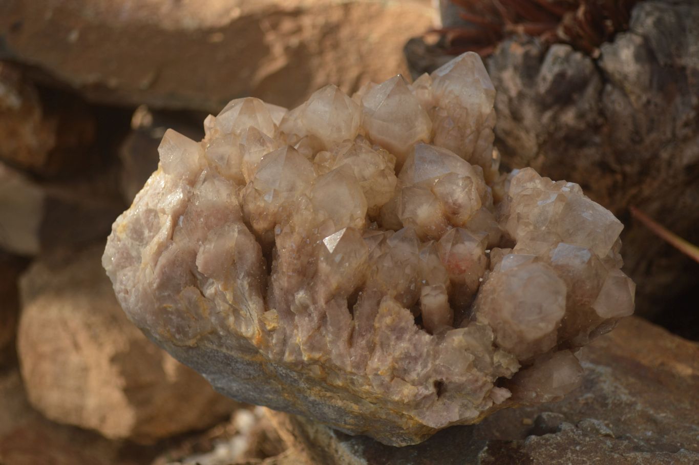 Natural Large Cascading White Phantom Smokey Quartz Cluster x 1 From Luena, Congo - Toprock Gemstones and Minerals 
