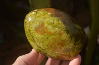 Polished  Green Opal Standing Free Forms  x 6 From Madagascar - Toprock Gemstones and Minerals 