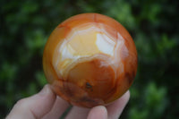 Polished Vibrant Carnelian Agate Spheres  x 5 From Madagascar - Toprock Gemstones and Minerals 