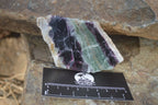 Polished Watermelon Fluorite Slices  x 6 From Uis, Namibia - Toprock Gemstones and Minerals 