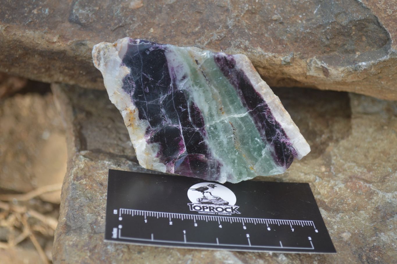 Polished Watermelon Fluorite Slices  x 6 From Uis, Namibia - Toprock Gemstones and Minerals 