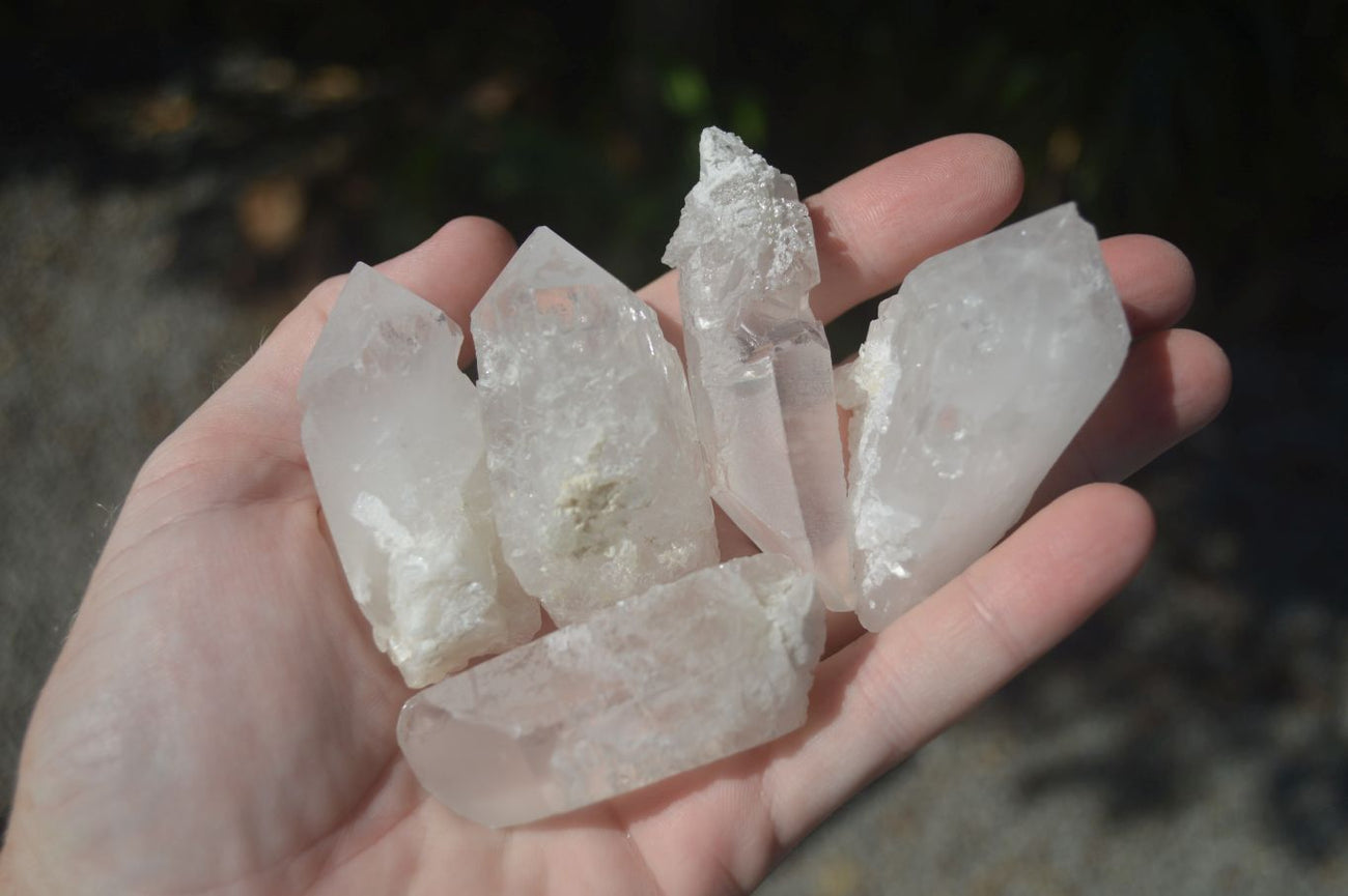 Natural Highly Selected Single Clear Quartz Crystals x 35